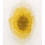Louis De Poortere Teppich, Meditation Gold Moss 2100, Drop design