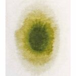 Louis De Poortere Teppich, Meditation Green Pepper 2105, Drop design